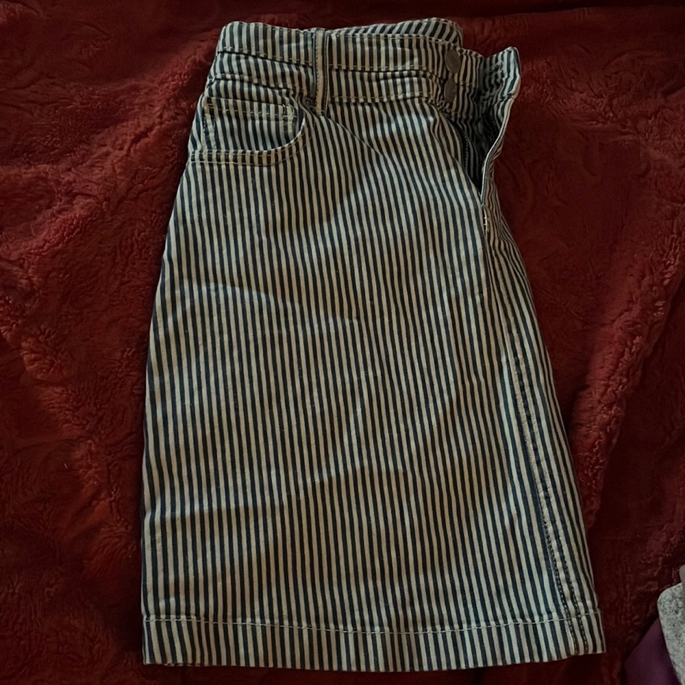 Pencil skirt pinned stripped